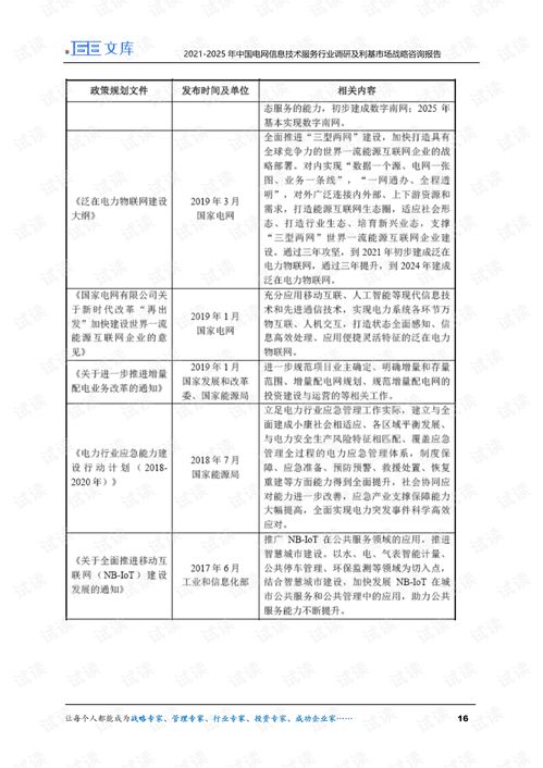 2021-2025年中國電網信息技術服務行業調研及利基市場戰略咨詢報告 互聯網銷售分析